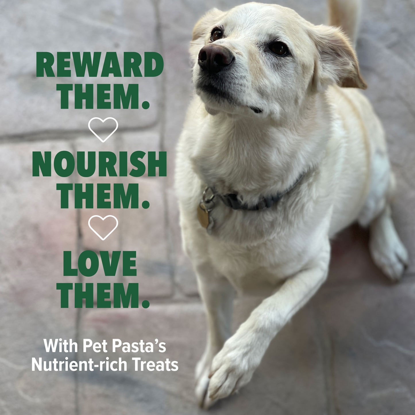 Cheesateli - 2-Pack (7 oz Bags)