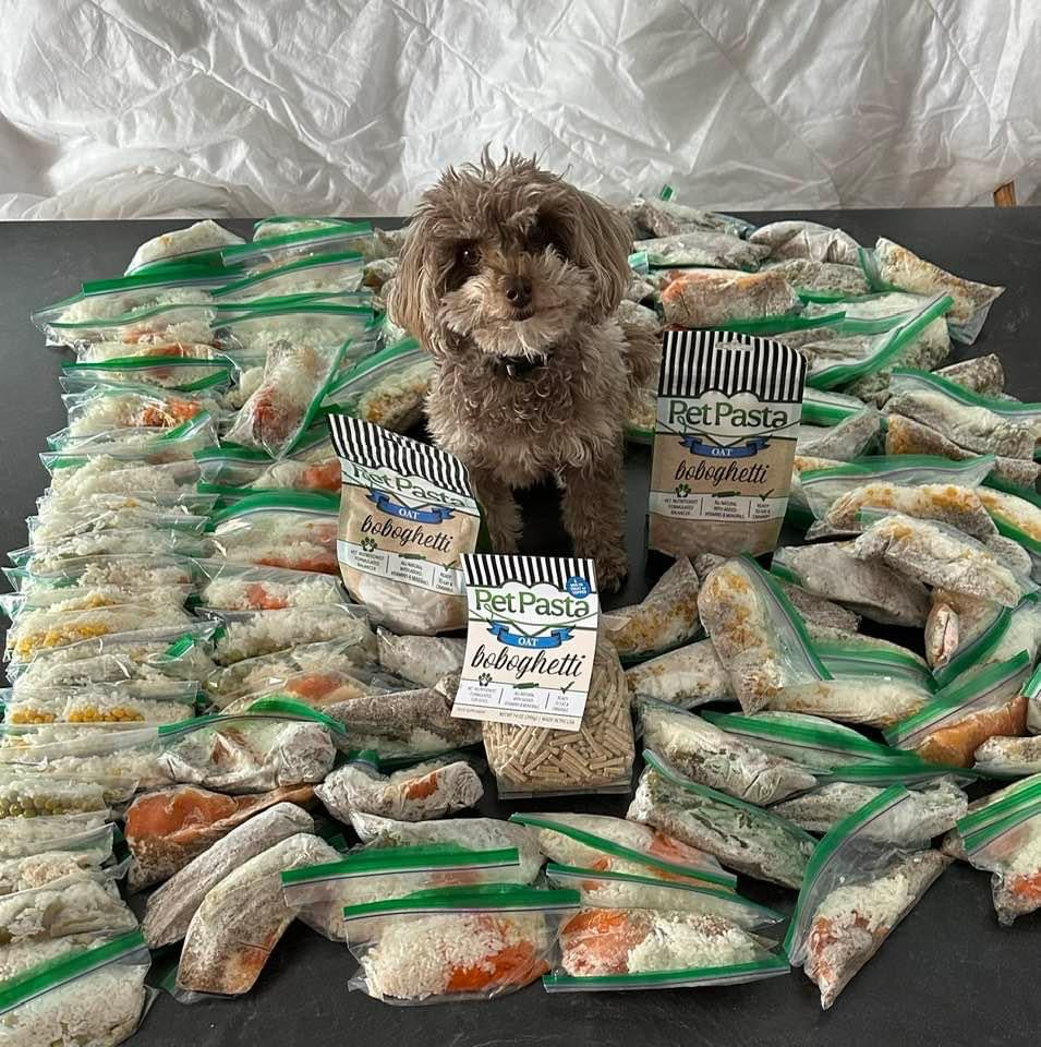 Elvis is ready for his homemade dog food that includes Pet Pasta! He is the pickiest eater and would not eat until I started giving him Pet Pasta! Pet Pasta saved his life and is the best supplement around!