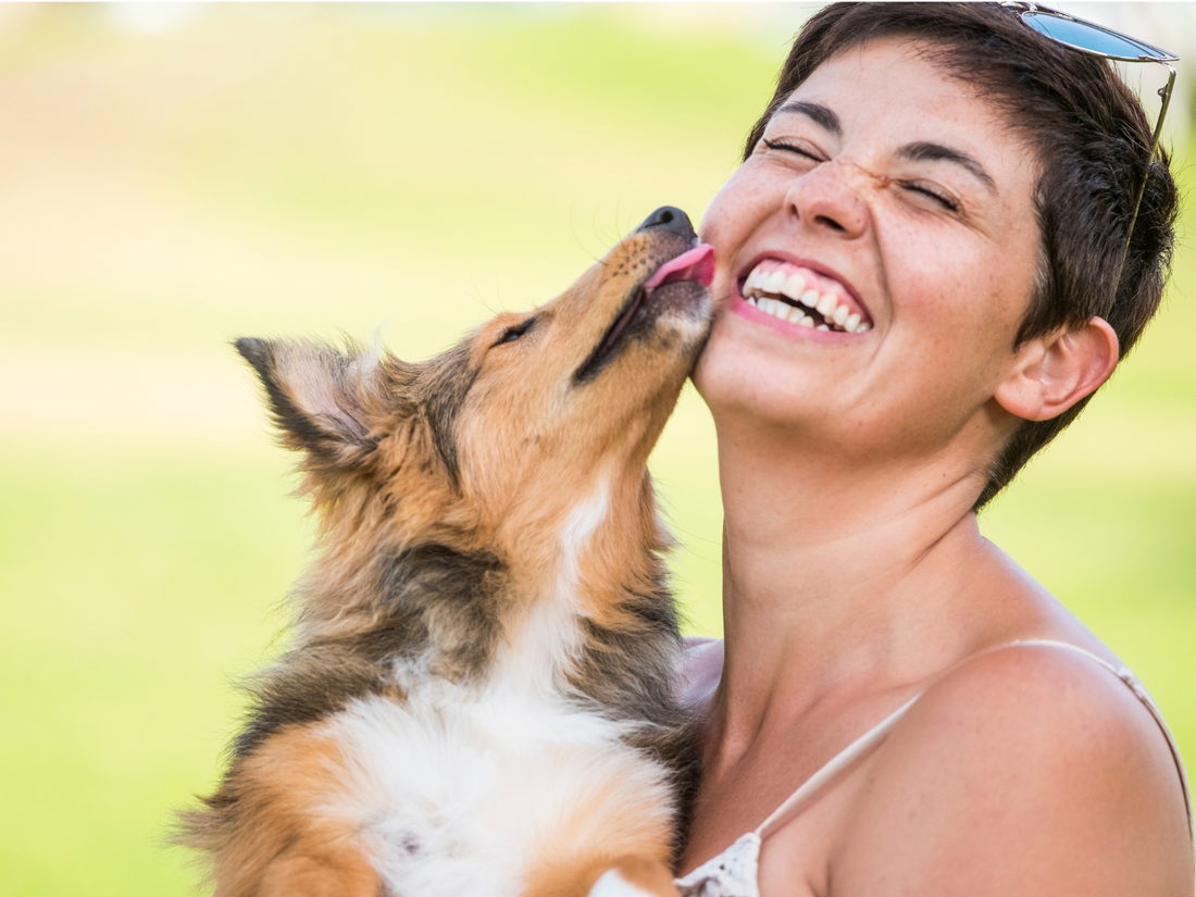 Dogs makes us laugh so feed then healthy dog treats like Pet Pasta's Begatoni and Cheesateli
