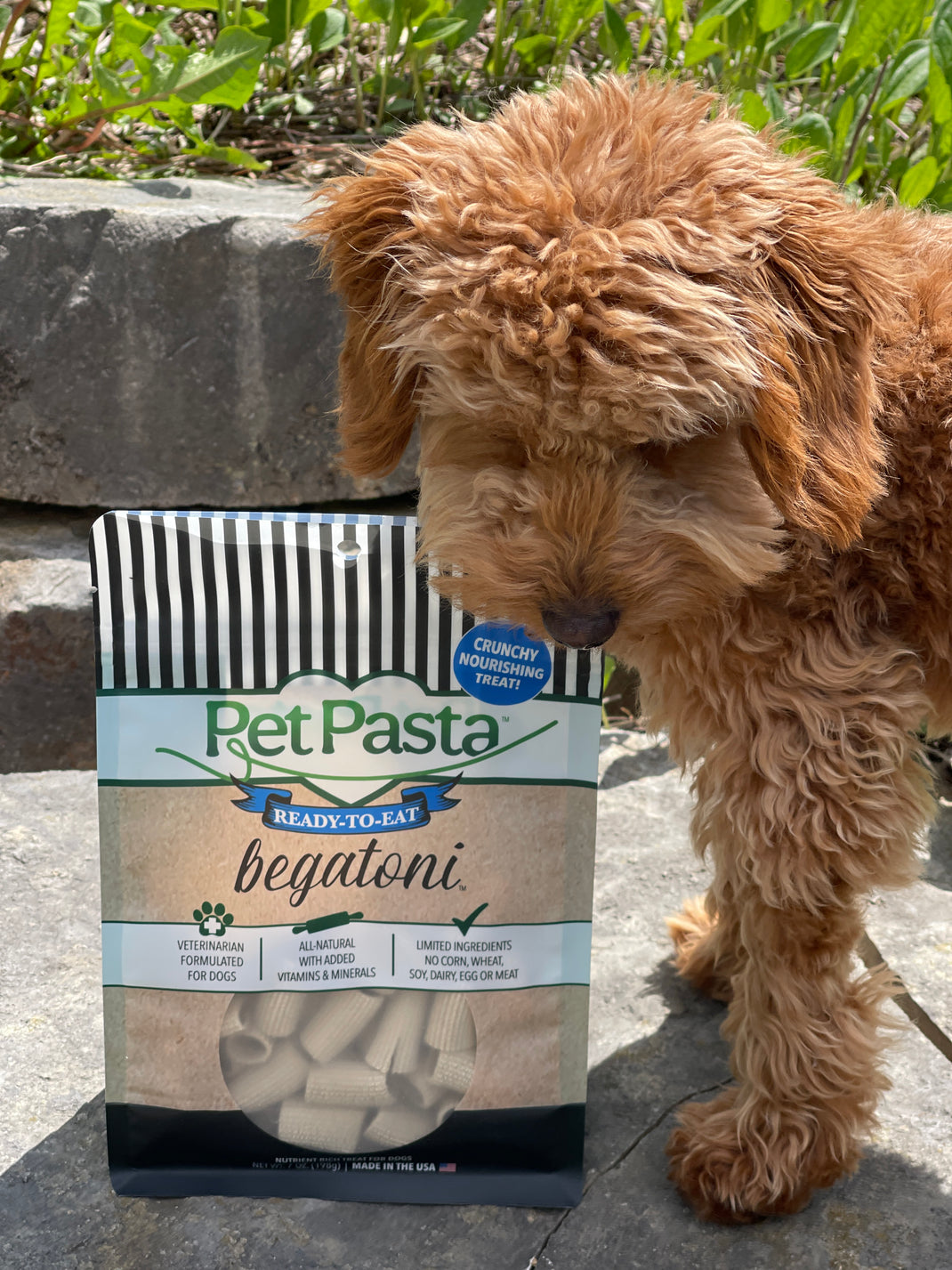 Pet Pasta is a delicious AND nutritious dog treat, topper or balancer!