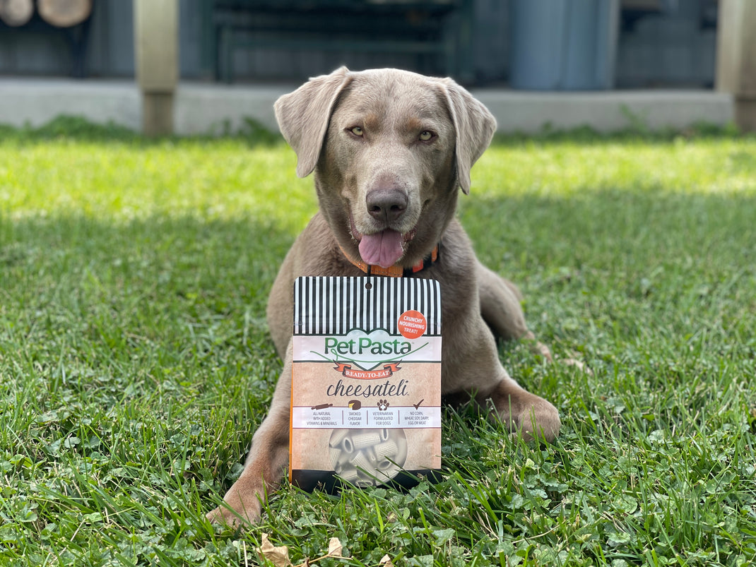 Pet Pasta is a delicious AND nutritious dog treat, topper or balancer!